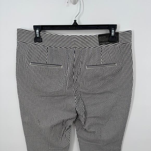 ANN TAYLOR NWT Devin Fit Blue White Seersucker Striped Pants // 8 - Picture 6 of 10
